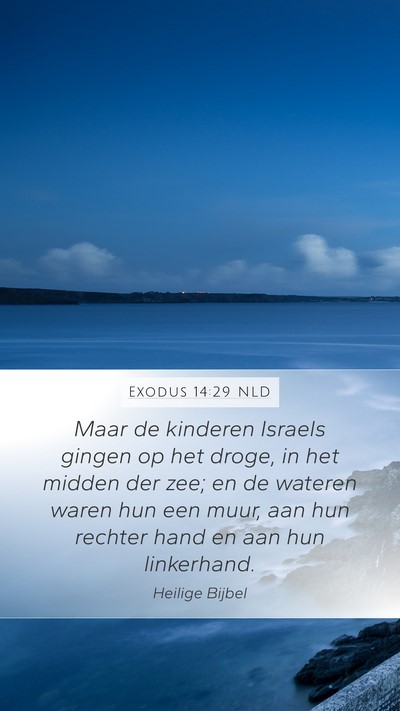 Exodus 14:29 NLD Bible Verse Image