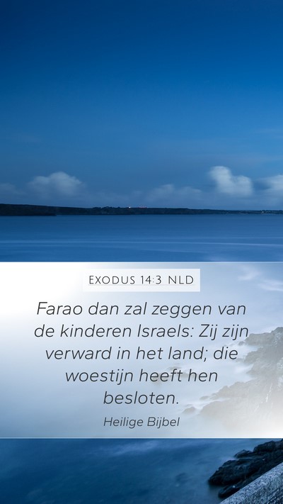 Exodus 14:3 NLD Bible Verse Image