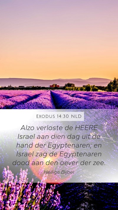 Exodus 14:30 NLD Bible Verse Image