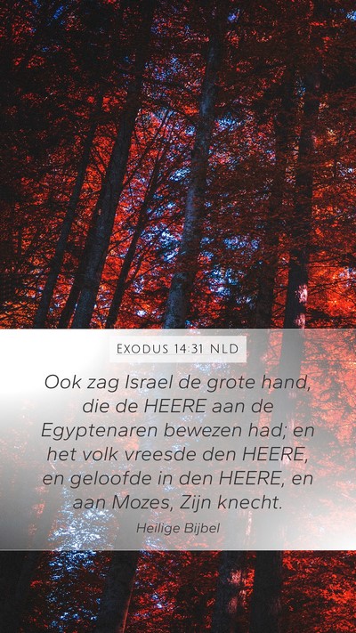 Exodus 14:31 NLD Bible Verse Image
