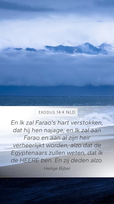 Exodus 14:4 NLD Bible Verse Image
