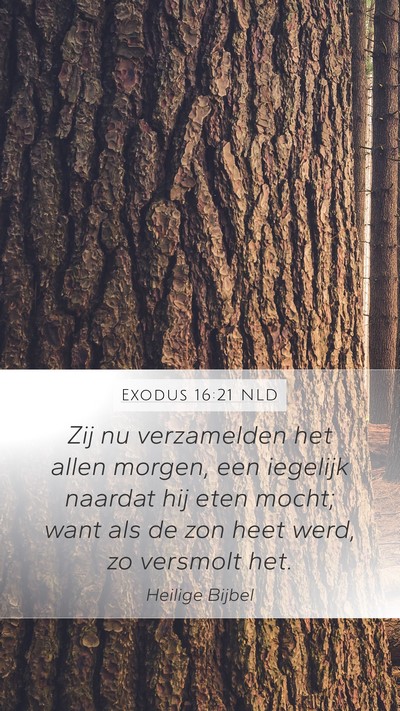 Exodus 16:21 NLD Mobile Phone Wallpaper - Zij nu verzamelden het allen morgen, een iegelijk - Mobile Bible Verse Wallpaper