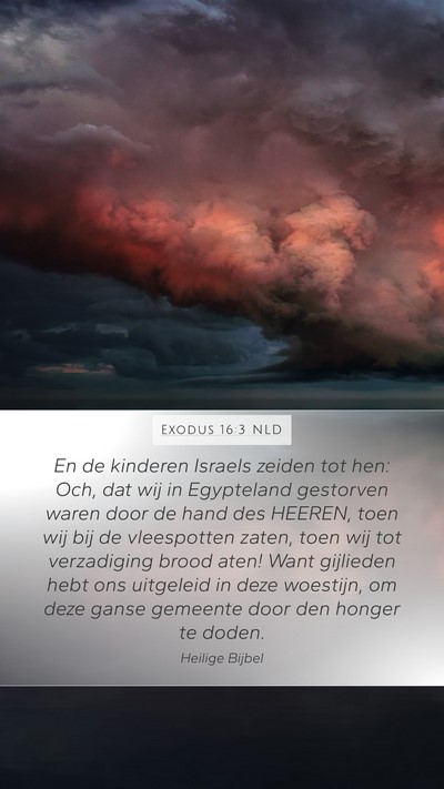 Exodus 16:3 NLD Bible Verse Image