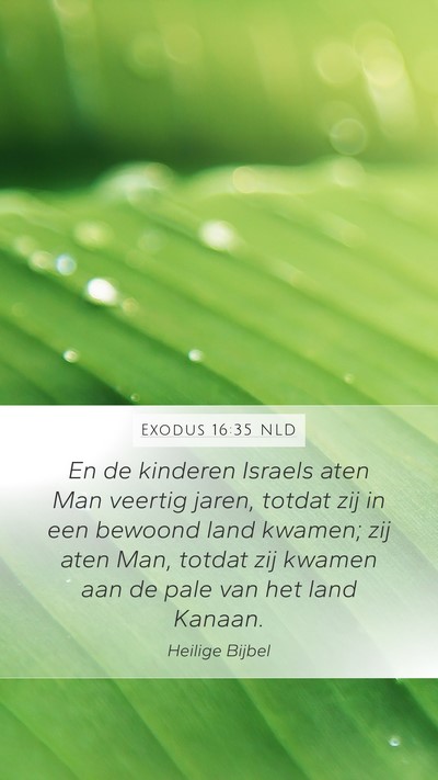 Exodus 16:35 NLD Bible Verse Image