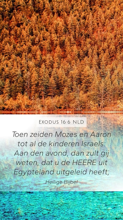 Exodus 16:6 NLD Mobile Phone Wallpaper - Toen zeiden Mozes en Aaron tot al de kinderen - Mobile Bible Verse Wallpaper