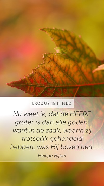Exodus 18:11 NLD Bible Verse Image