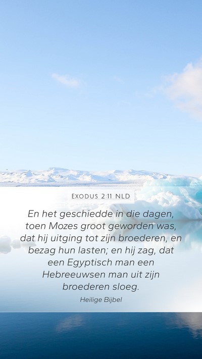 Exodus 2:11 NLD Bible Verse Image
