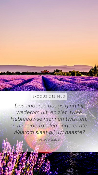 Exodus 2:13 NLD Bible Verse Image