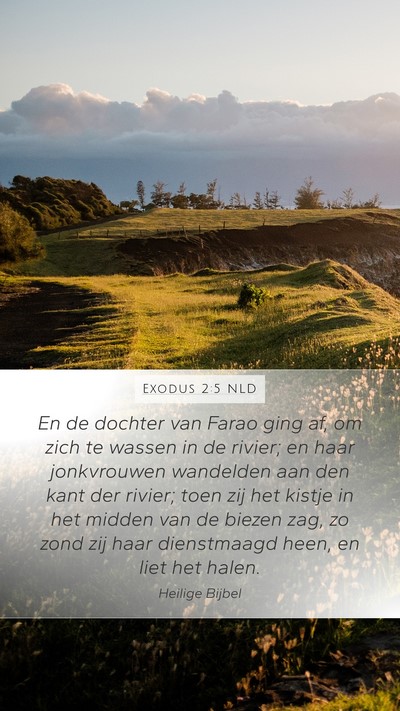 Exodus 2:5 NLD Mobile Phone Wallpaper - En de dochter van Farao ging af, om zich te - Mobile Bible Verse Wallpaper
