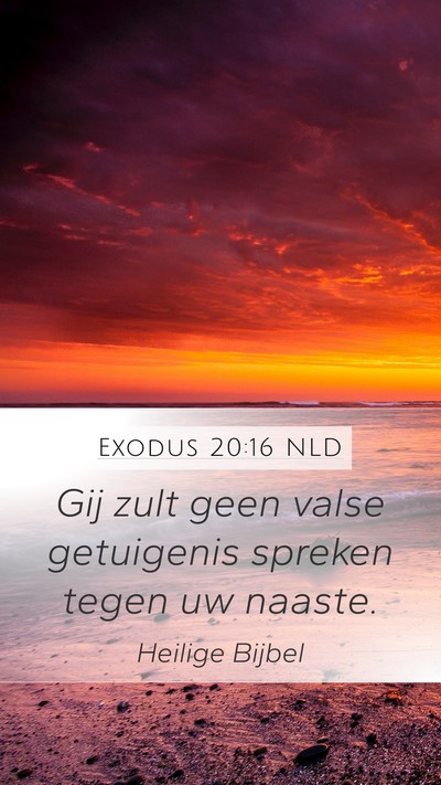 Exodus 20:16 NLD Bible Verse Image