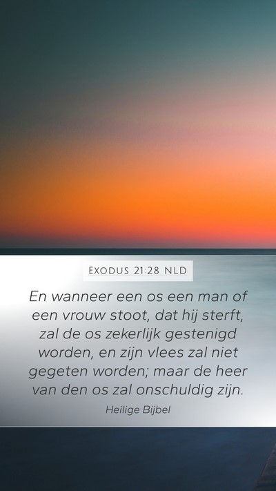 Exodus 21:28 NLD Bible Verse Image