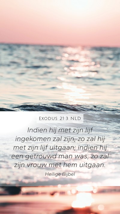 Exodus 21:3 NLD Bible Verse Image