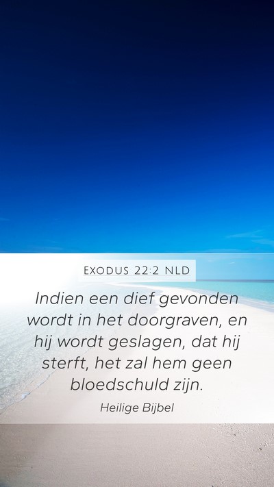 Exodus 22:2 NLD Bible Verse Image