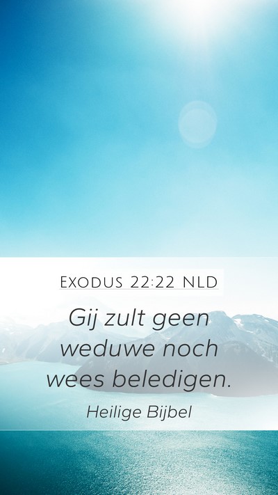Exodus 22:22 NLD Bible Verse Image