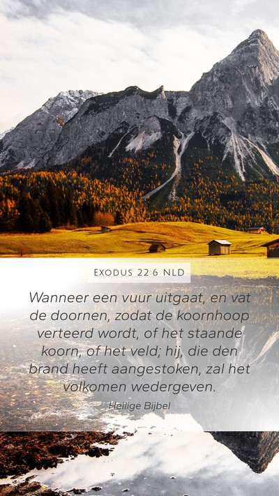 Exodus 22:6 NLD Bible Verse Image