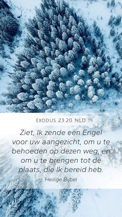 Exodus 23:20 NLD Bible Verse Image
