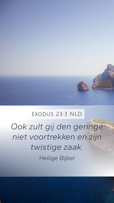 Exodus 23:3 NLD Bible Verse Image