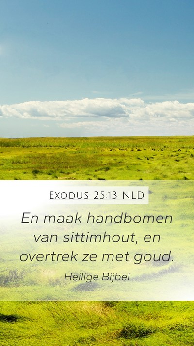 Exodus 25:13 NLD Bible Verse Image