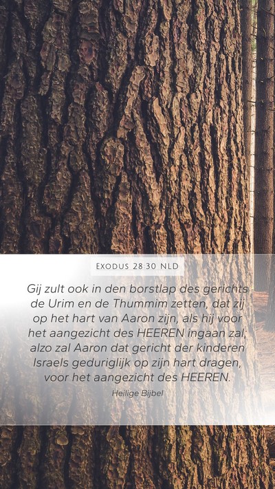 Exodus 28:30 NLD Bible Verse Image