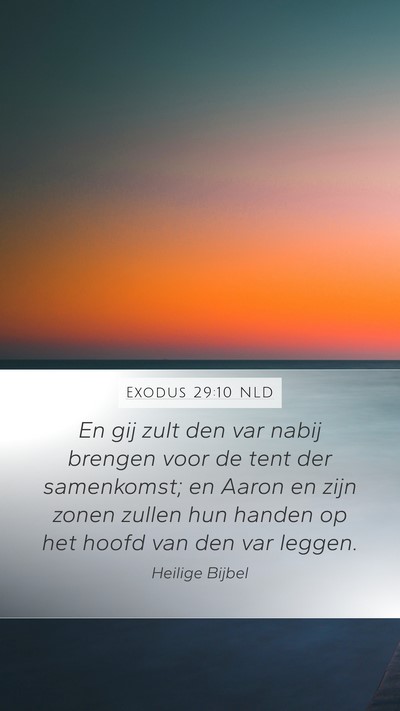Exodus 29:10 NLD Bible Verse Image
