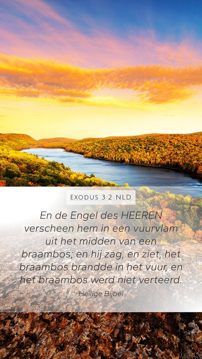 Exodus 3:2 NLD Bible Verse Image
