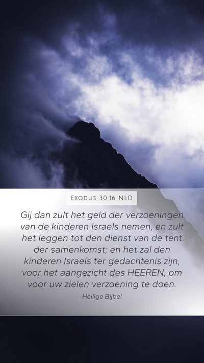 Exodus 30:16 NLD Bible Verse Image