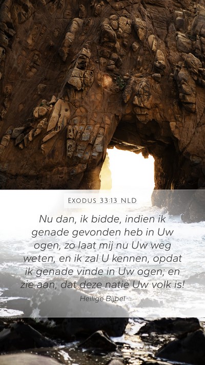 Exodus 33:13 NLD Bible Verse Image