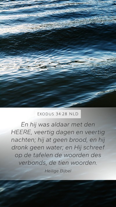 Exodus 34:28 NLD Bible Verse Image