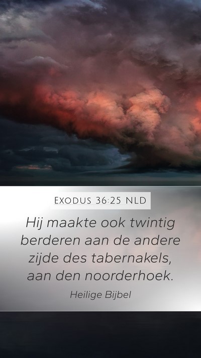 Exodus 36:25 NLD Mobile Phone Wallpaper - Hij maakte ook twintig berderen aan de andere - Mobile Bible Verse Wallpaper