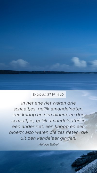 Exodus 37:19 NLD Mobile Phone Wallpaper - In het ene riet waren drie schaaltjes, gelijk - Mobile Bible Verse Wallpaper