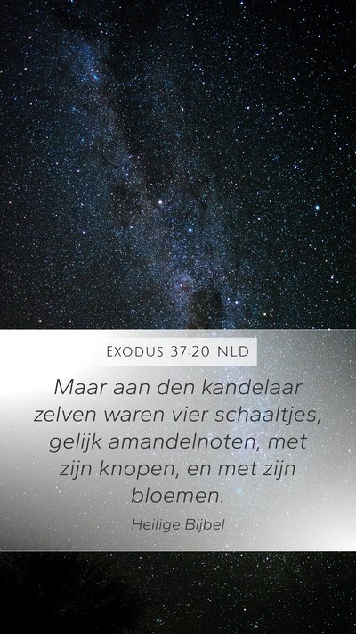 Exodus 37:20 NLD Bible Verse Image