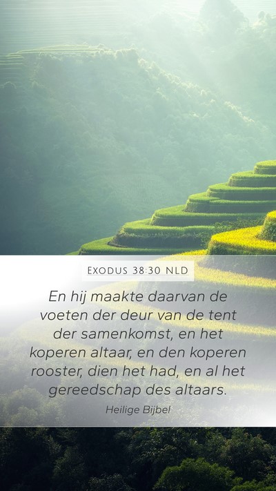 Exodus 38:30 NLD Bible Verse Image