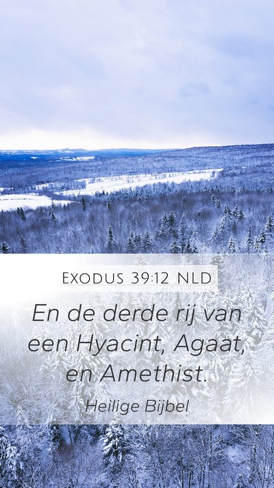 Exodus 39:12 NLD Mobile Phone Wallpaper - En de derde rij van een Hyacint, Agaat, en - Mobile Bible Verse Wallpaper
