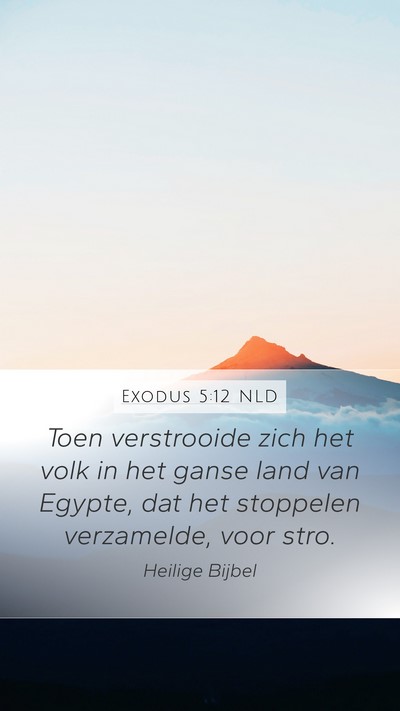 Exodus 5:12 NLD Mobile Phone Wallpaper - Toen verstrooide zich het volk in het ganse land - Mobile Bible Verse Wallpaper