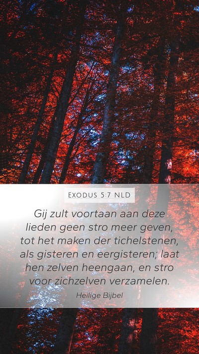 Exodus 5:7 NLD Mobile Phone Wallpaper - Gij zult voortaan aan deze lieden geen stro meer - Mobile Bible Verse Wallpaper