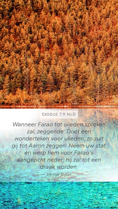 Exodus 7:9 NLD Mobile Phone Wallpaper - Wanneer Farao tot ulieden spreken zal, zeggende: - Mobile Bible Verse Wallpaper