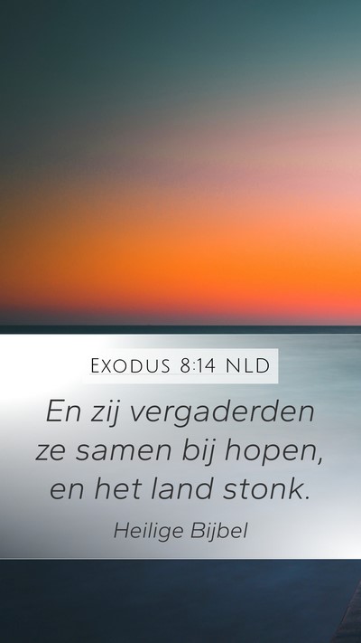 Exodus 8:14 NLD Mobile Phone Wallpaper - En zij vergaderden ze samen bij hopen, en het - Mobile Bible Verse Wallpaper