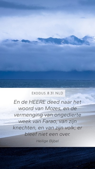 Exodus 8:31 NLD Mobile Phone Wallpaper - En de HEERE deed naar het woord van Mozes, en de - Mobile Bible Verse Wallpaper