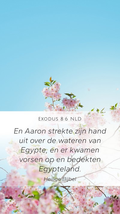 Exodus 8:6 NLD Mobile Phone Wallpaper - En Aaron strekte zijn hand uit over de wateren - Mobile Bible Verse Wallpaper