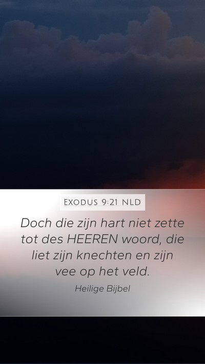Exodus 9:21 NLD Bible Verse Image