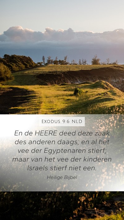 Exodus 9:6 NLD Bible Verse Image
