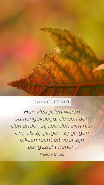 Ezechiël 1:9 NLD Bible Verse Image