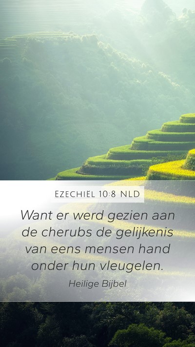 Ezechiël 10:8 NLD Bible Verse Image