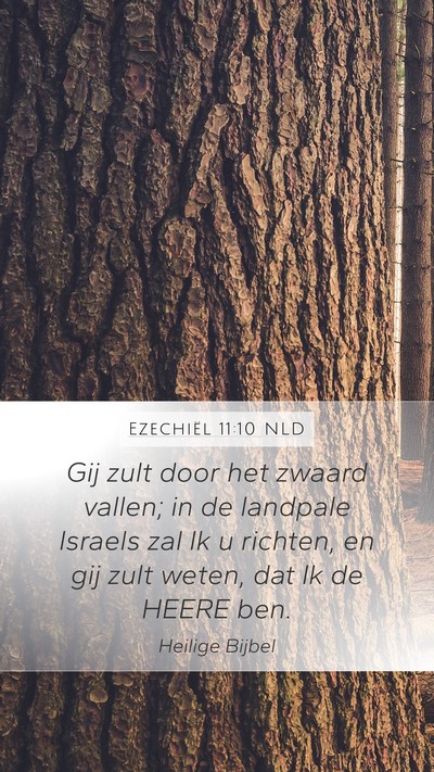 Ezechiël 11:10 NLD Bible Verse Image