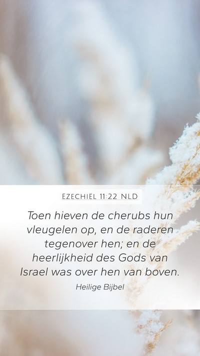 Ezechiël 11:22 NLD Bible Verse Image