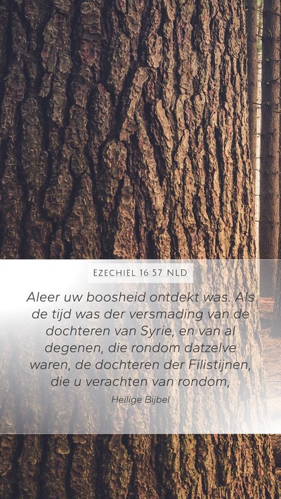 Ezechiël 16:57 NLD Bible Verse Image