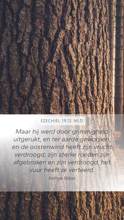 Ezechiël 19:12 NLD Bible Verse Image