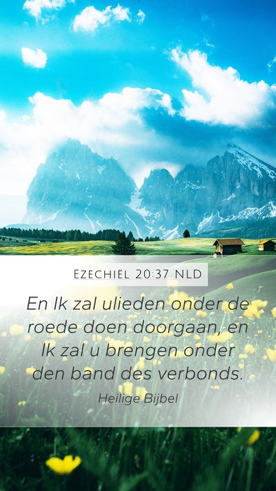 Ezechiël 20:37 NLD Mobile Phone Wallpaper - En Ik zal ulieden onder de roede doen doorgaan, - Mobile Bible Verse Wallpaper