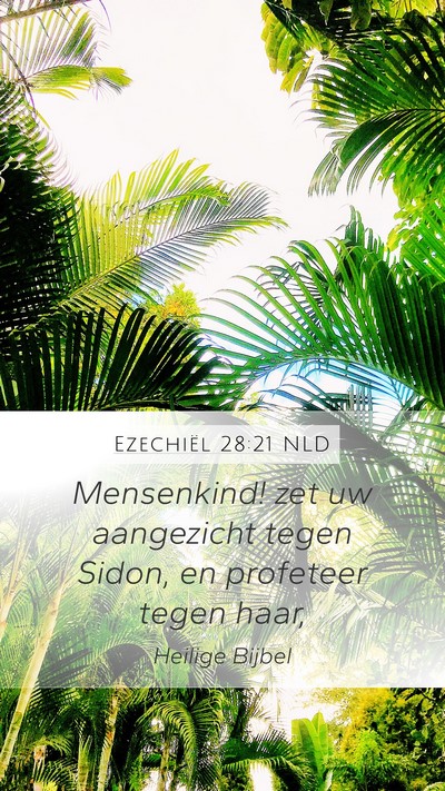 Ezechiël 28:21 NLD Mobile Phone Wallpaper - Mensenkind! zet uw aangezicht tegen Sidon, en - Mobile Bible Verse Wallpaper