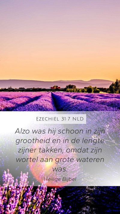 Ezechiël 31:7 NLD Mobile Phone Wallpaper - Alzo was hij schoon in zijn grootheid en in de - Mobile Bible Verse Wallpaper